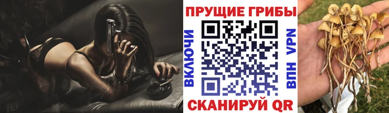 Галлюциногенные грибы GOLDEN TEACHER  дарнет шоп  Певек 